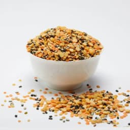 Lentil